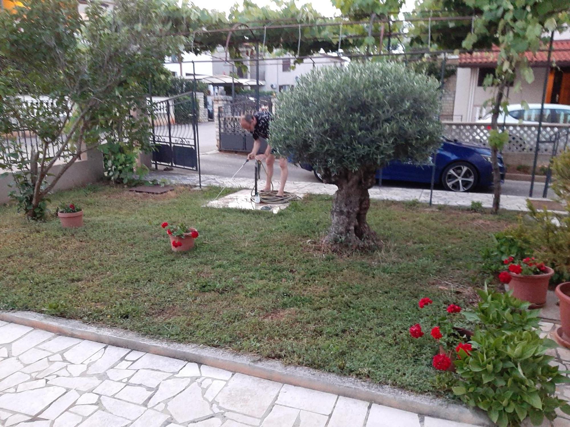 Stefania * Rovinj