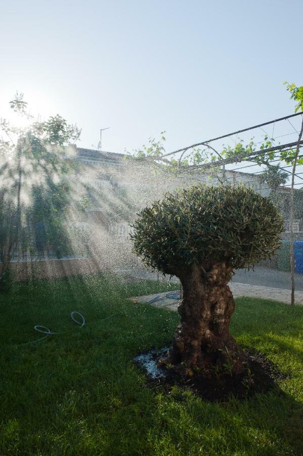 Apartman Stefania Rovinj